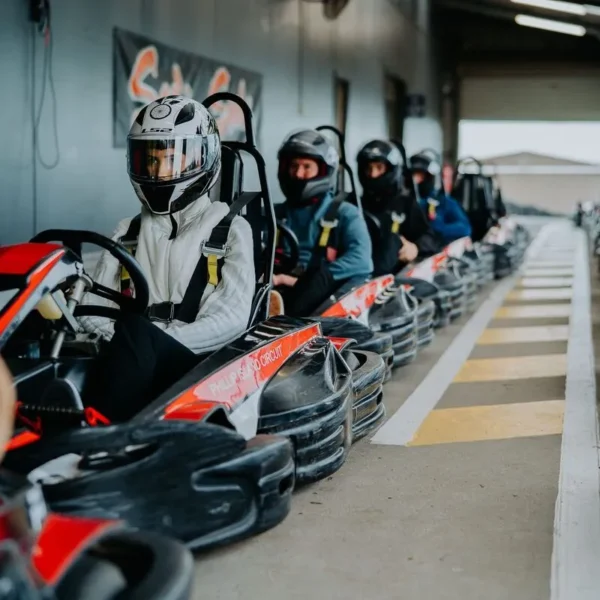 phillip island penguin tours