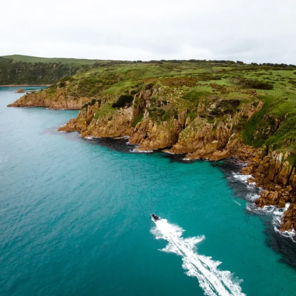 phillip island tour deals