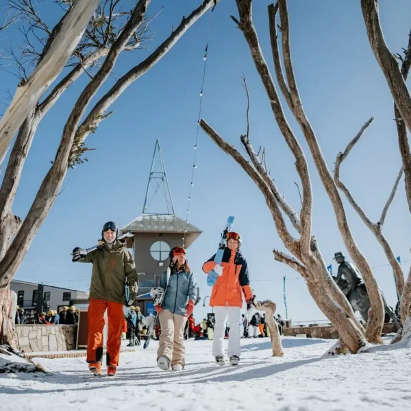ski equipment