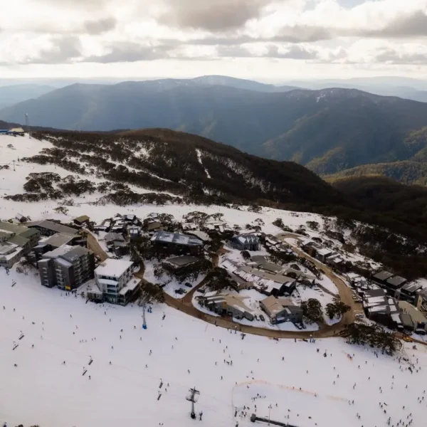 snowy landscape