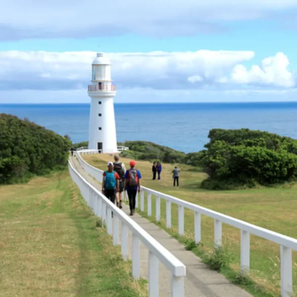 the otways