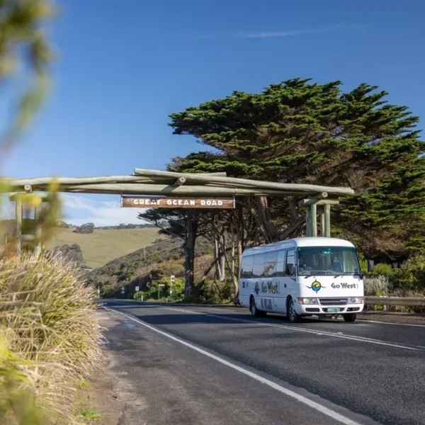 tour great ocean road