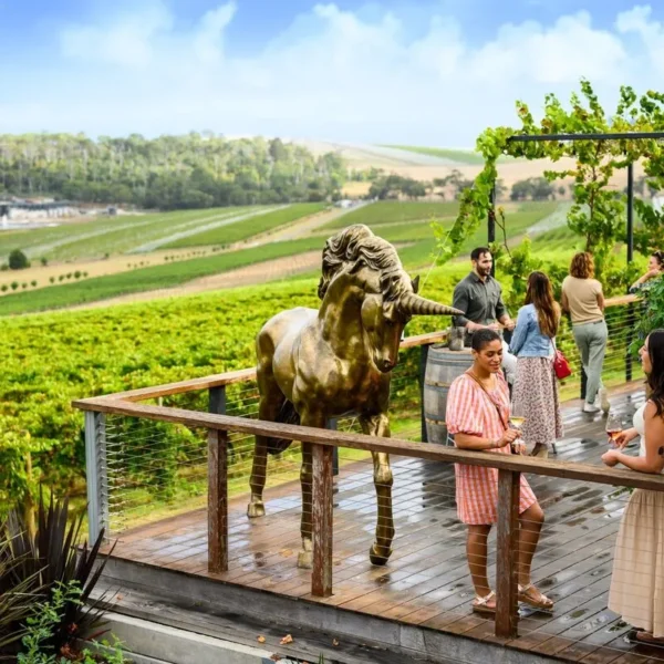vineyard tours melbourne