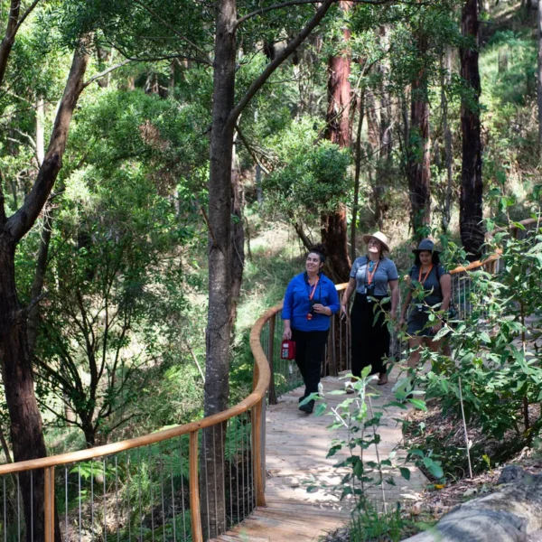 visit otways