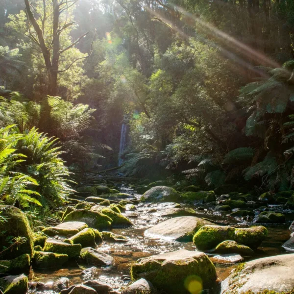 visit the otways