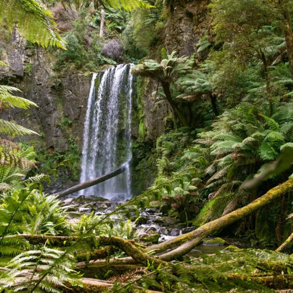 what to do in the otways