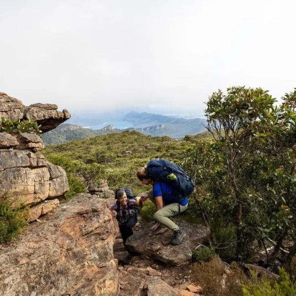 wildlife tours grampians