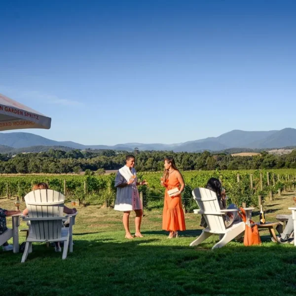 wine tasting and tours near me