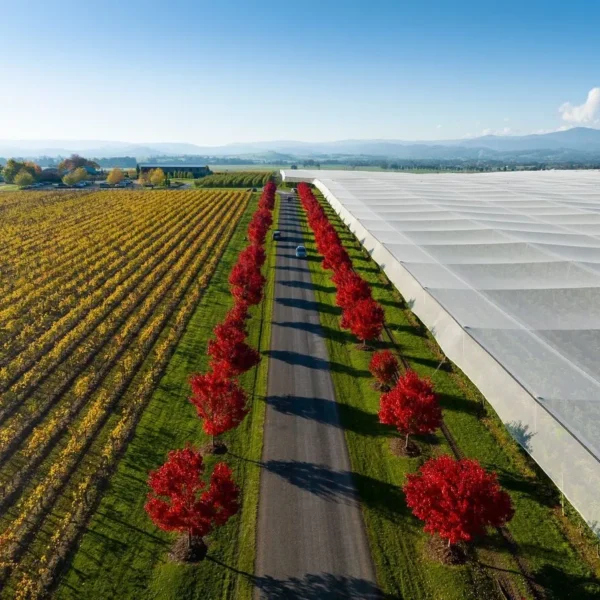 wine tours yarra valley