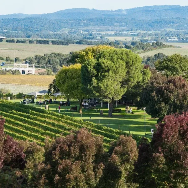 winery tours from melbourne