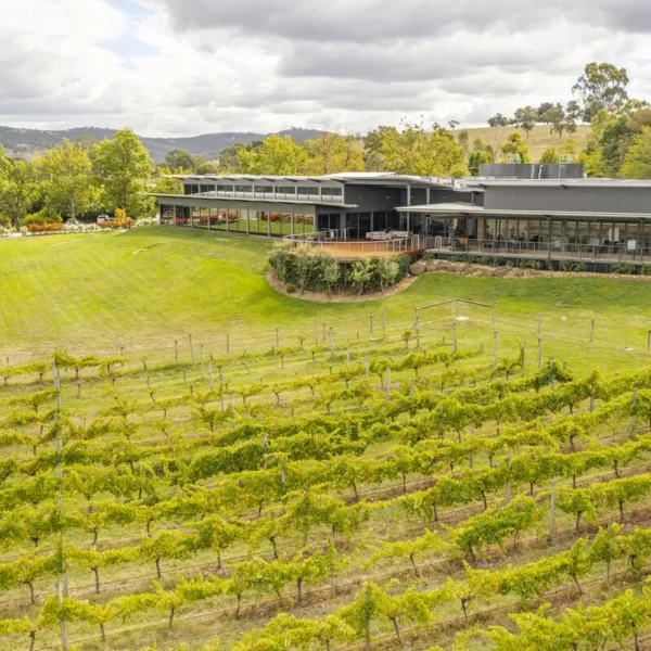 winery tours yarra valley