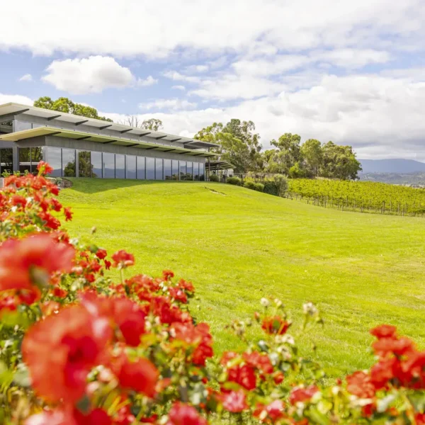 yarra tours melbourne