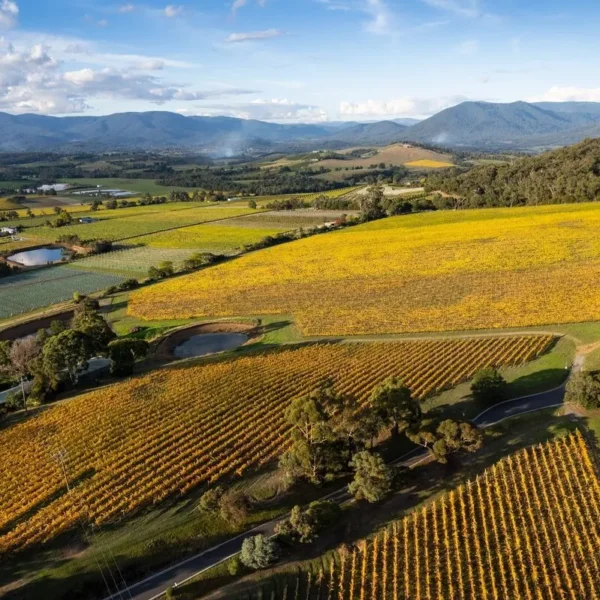yarra valley day tour from melbourne