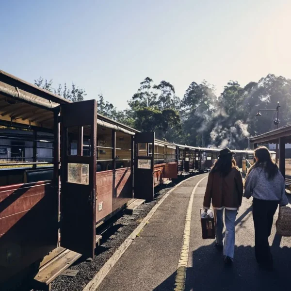 yarra valley day tours melbourne