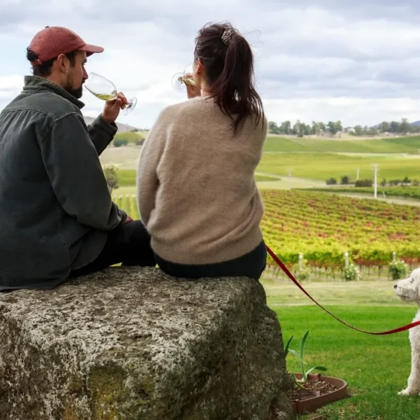 yarra valley vineyard tour