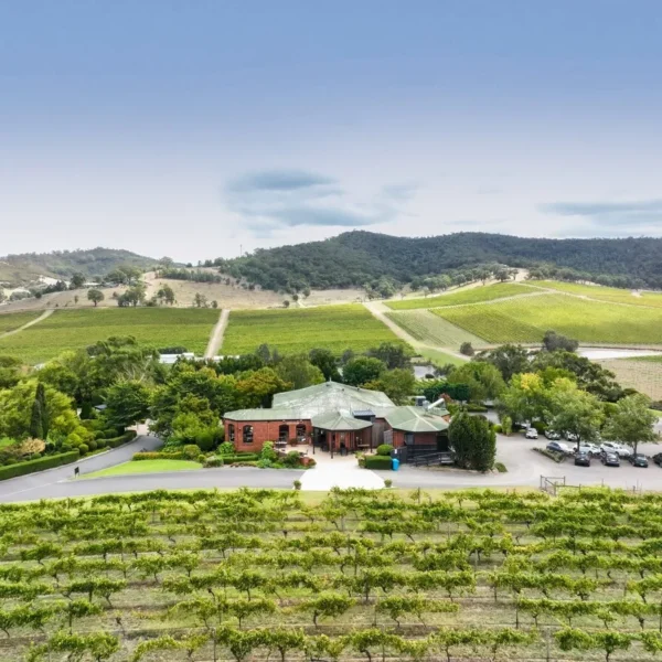 yarra valley wine and winery tour from melbourne