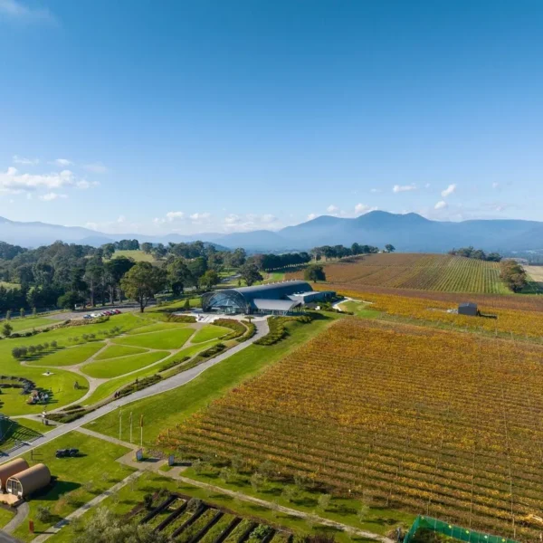 yarra valley wine tasting tours