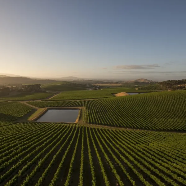 yarra valley wine tour