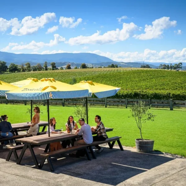 yarra valley wine tour from melbourne