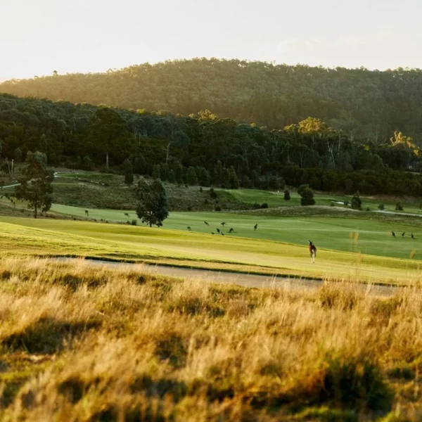 yarra valley wine tours from melbourne