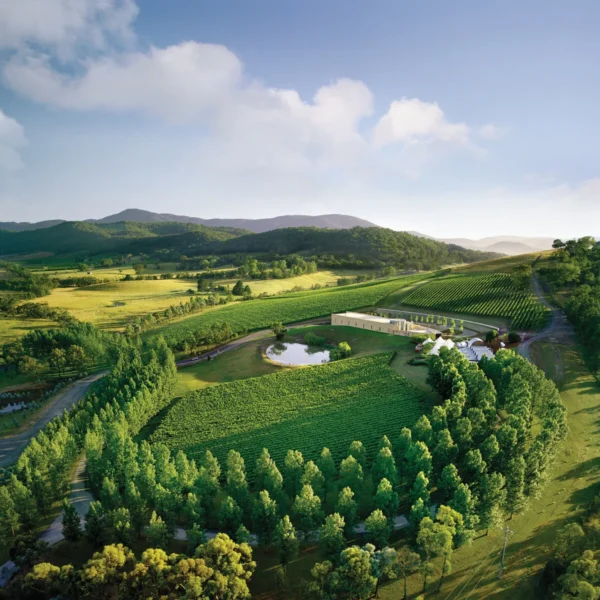 yarra valley winery tour