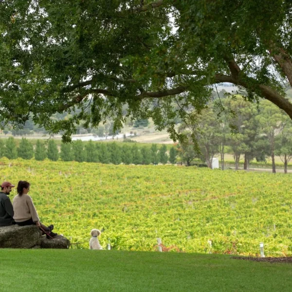 yarra valley winery tours